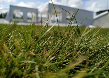 Årets sommarfest var en upplevelse utöver det vanliga