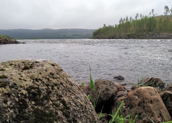 Svegot Sommar: Daniel Frändelöv i Nordnorge