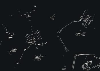 Masskjutningar och den moderna världen