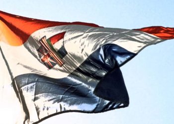 Sydafrikas historiska flaggor förbjuds av landets jämställdhetsdomstol