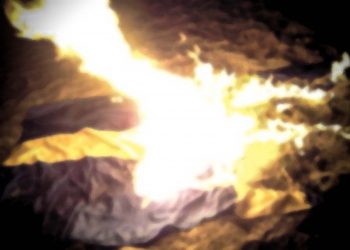 Flaggskändande luffare ska tas på lagom mycket allvar