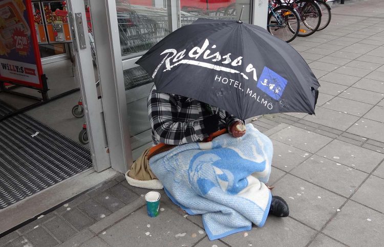 Tiggerskan på bilden har allt att göra med textens innehåll. Foto: Privat.
