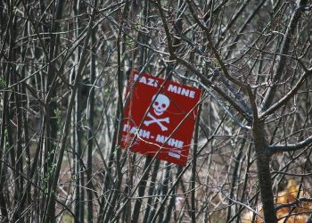 Ivar Arpi går tryggt i minfältet