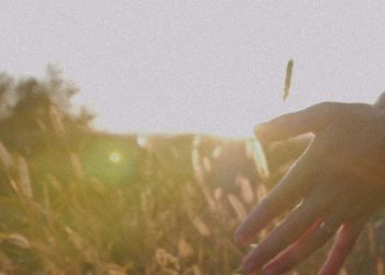 Svensk hedersam kultur vore något