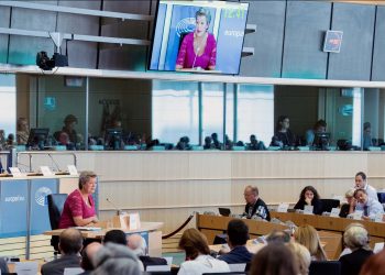 Ylva Johanssons gjorde fullständigt bort sig inför EU