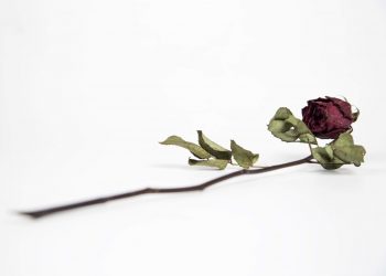 Sverige vaknar #76: Socialdemokraternas djupa kris