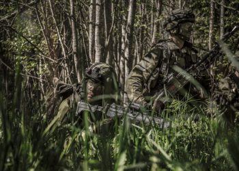 Judisk professor till attack mot Svea Livgarde och svensk ”militarism”