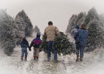 Fria svenskars julkalender #15