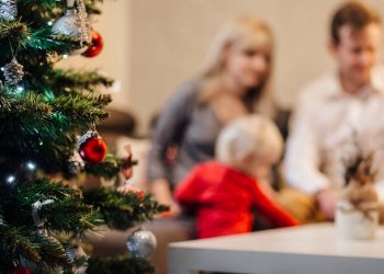 Fria svenskars julkalender #19