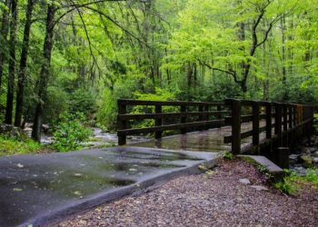 Fria svenskars julkalender #8