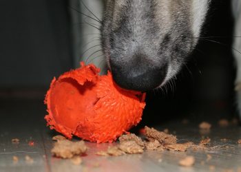 Passningen #206: Bandymördare!