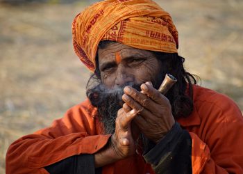 Indier största invandrargruppen