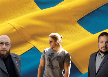 Om svenskarna som minoritet