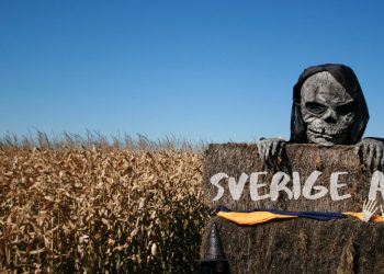 En till coronasmittad i Sverige