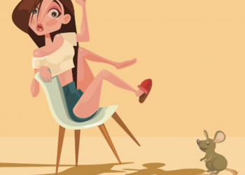 Manligt och kvinnligt bland möss och människor