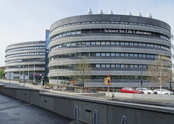 Professorer kräver att regeringen agerar mot coronaviruset