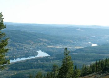 13 coronapatienter friskförklarade i Värmland