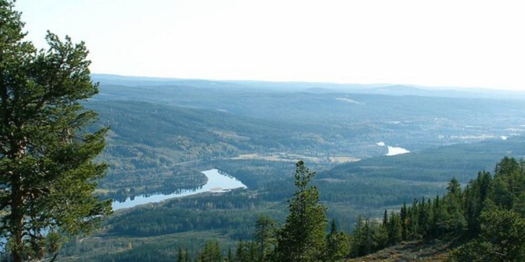 Foto: Skogsstyrelsen