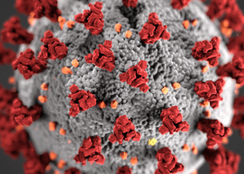 Extrasändning: Coronaviruset och regimens svek mot svenskarna