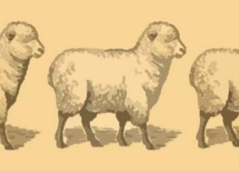 Irriterande när Svensson ger förmyndarstaten rätt