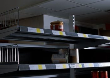 Förstår du att politikerna aldrig kommer lära sig?