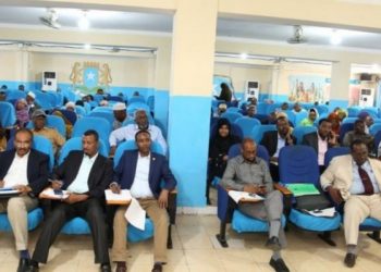 Du betalar … Somalias statsskuld