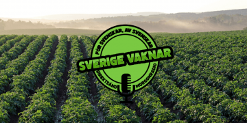 Sverige vaknar – 2 juni 2020