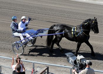 Passningen #230: Landskapsprofiler del 10