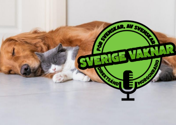 Sverige vaknar – 19 augusti 2020