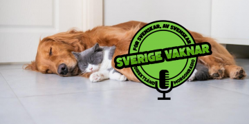 Sverige vaknar – 19 augusti 2020