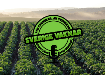 Sverige vaknar – 25 september 2020