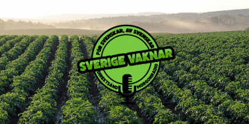 Sverige vaknar – 25 september 2020