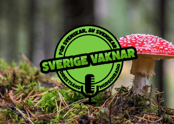 Sverige vaknar – 21 oktober 2020