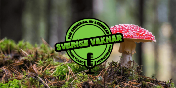 Sverige vaknar – 21 oktober 2020