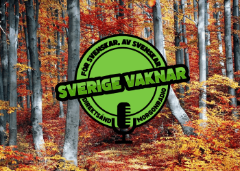 Sverige vaknar – 28 oktober 2020