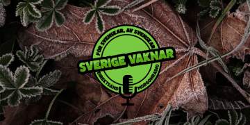 Sverige vaknar – 19 november 2020