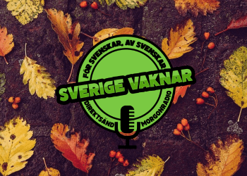 Sverige vaknar – 20 november 2020