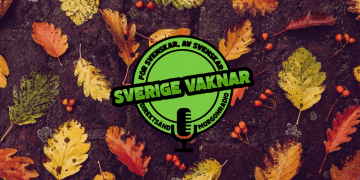 Sverige vaknar – 20 november 2020
