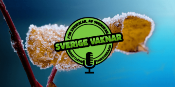 Sverige vaknar – 27 november 2020