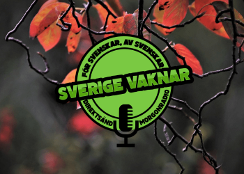 Sverige vaknar – 11 november 2020