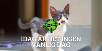 Idag är ingen vanlig dag (Sverige vaknar #357)