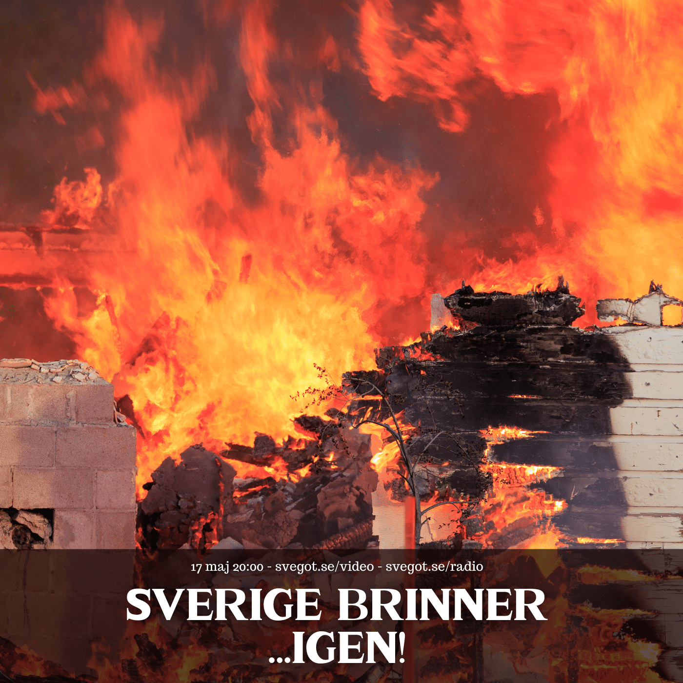 Kväll med Svegot