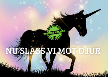 Nu slåss vi mot djur (Sverige vaknar #369)