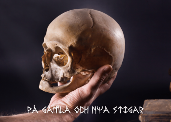 Vad är så speciellt med Hamlet egentligen?