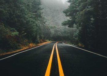 Vilka är framtidens folk?