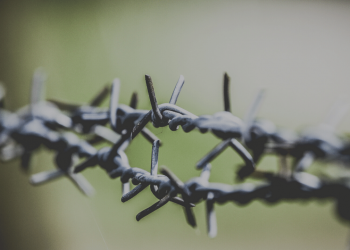 Vill vi ens ha frihet?