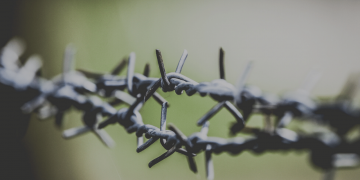 Vill vi ens ha frihet?