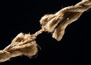 Är samhället för skört för att överleva?