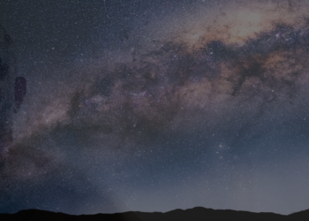 Vem tror du att du är?