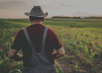 Stockholmare smartare än lantisar?